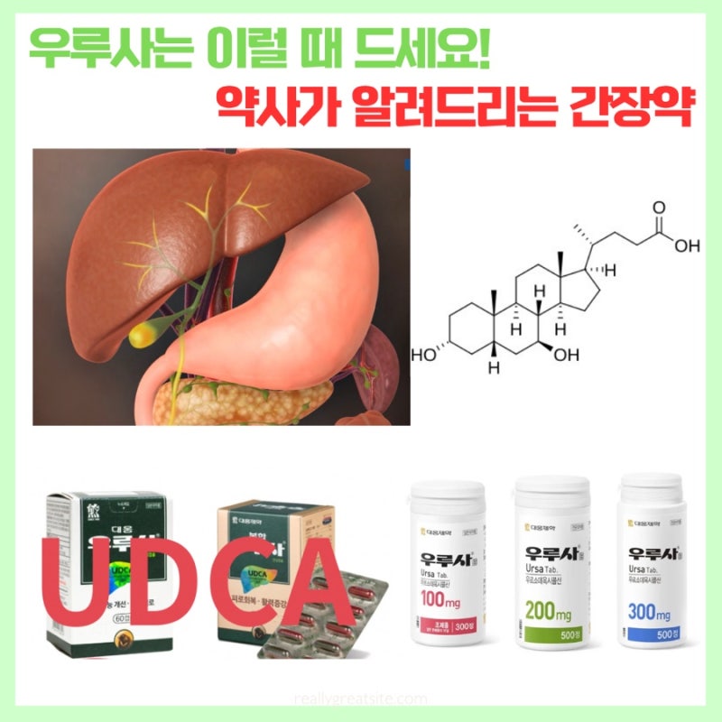 우루사는 이럴 때 드세요! 약사가 알려드리는 간장약