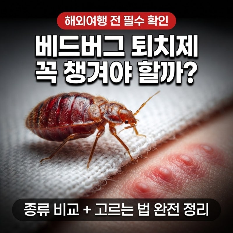 해외여행 전에 "베드버그 퇴치제 꼭 챙겨야 할까?" 고르는 법 꿀팁 정리