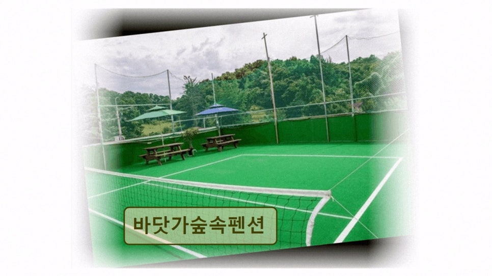 바닷가숲속펜션 사진 2