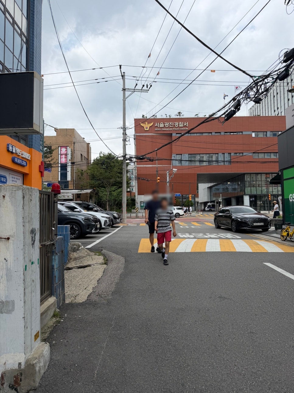 딜란스쿠키 사진 3