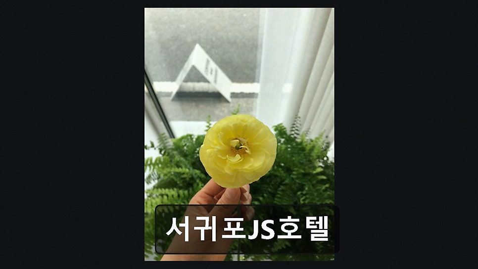 SeogwipoJShotel photo 3