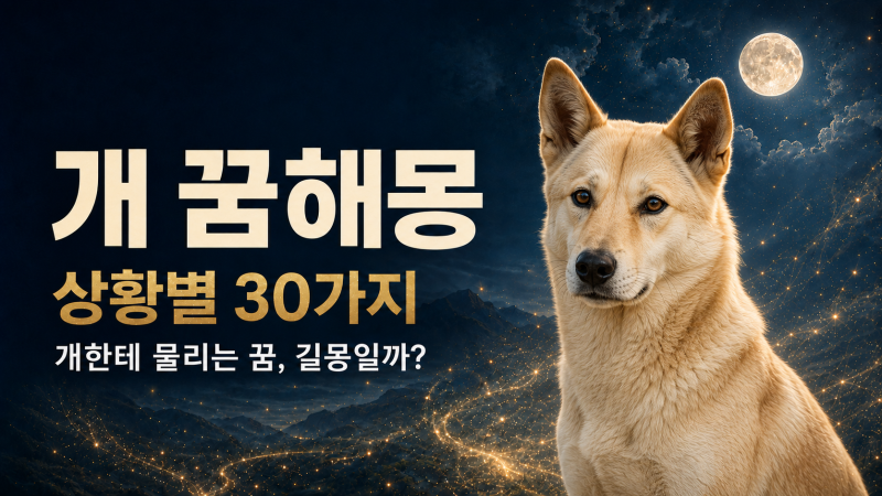 개 꿈해몽 30가지｜개한테 물리는 꿈·강아지 꿈은 길몽일까?