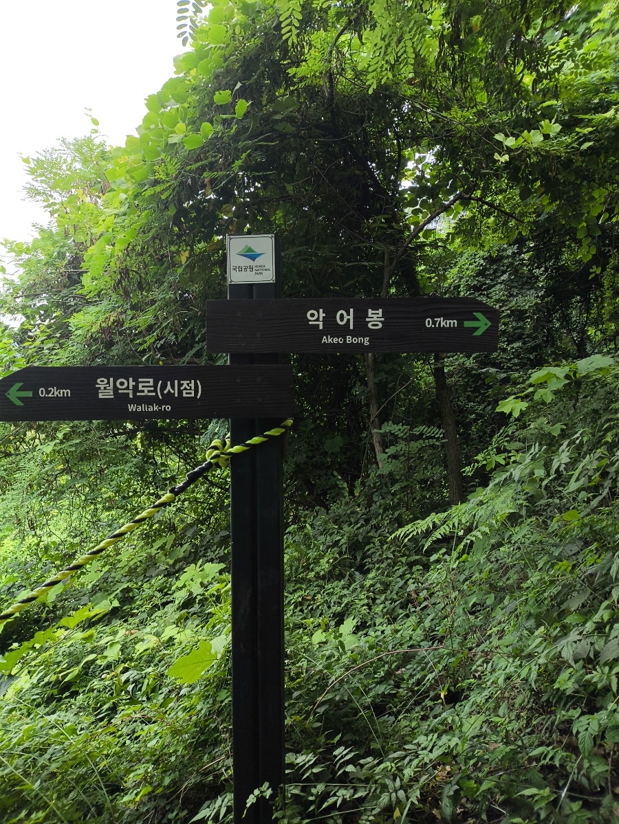대미산 사진 3