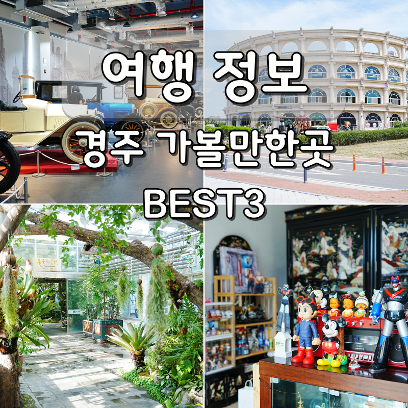 경주 실내 가볼만한곳 경주동궁원 자동차박물관 키덜트뮤지엄