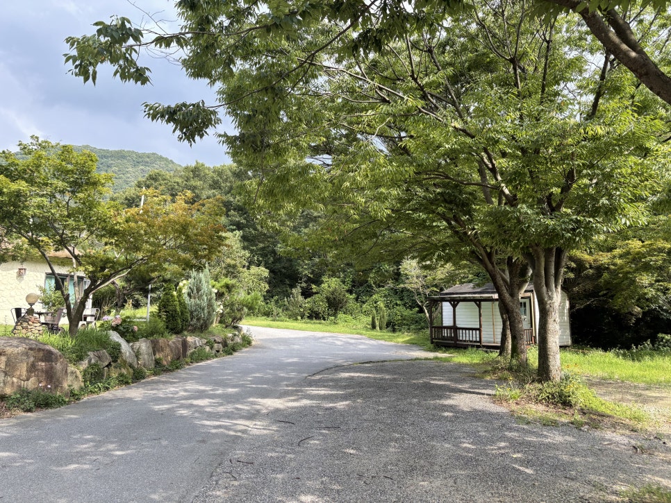 카페리즌 사진 1