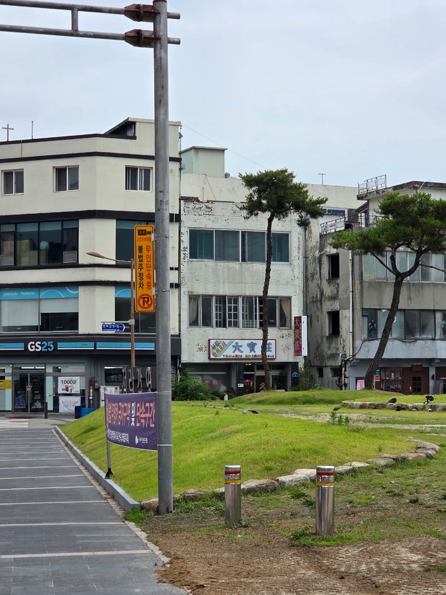 대보장 사진 2