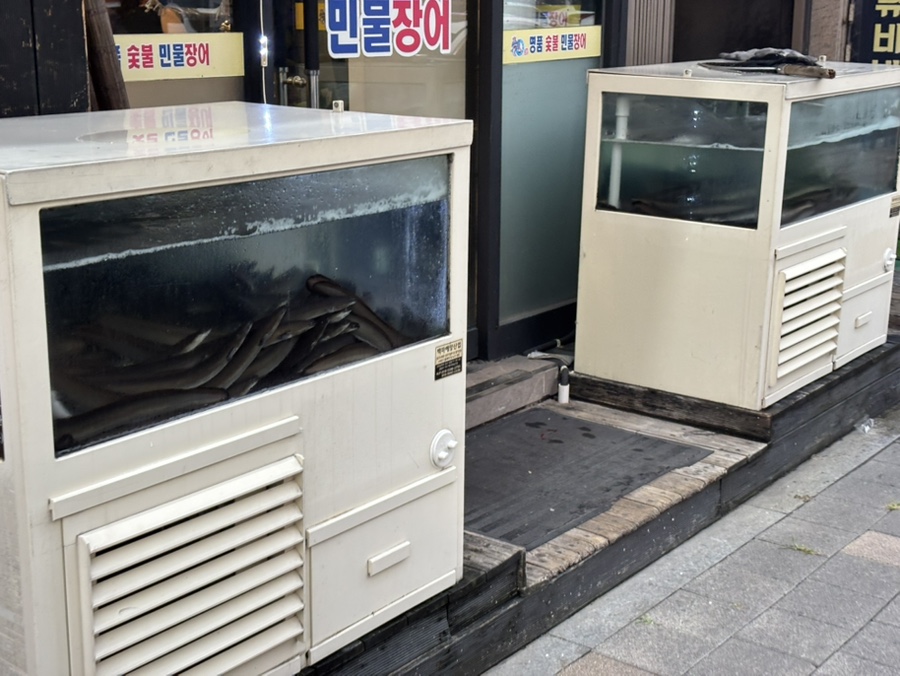 명품숯불민물장어 사진 3