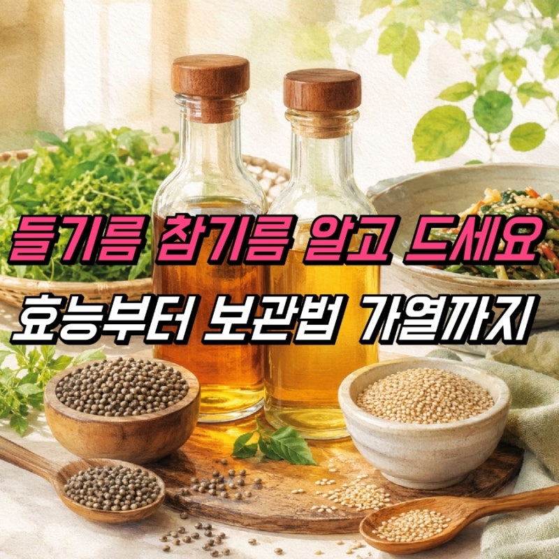 들기름 효능 참기름효능 차이, 보관방법 가열 주의사항