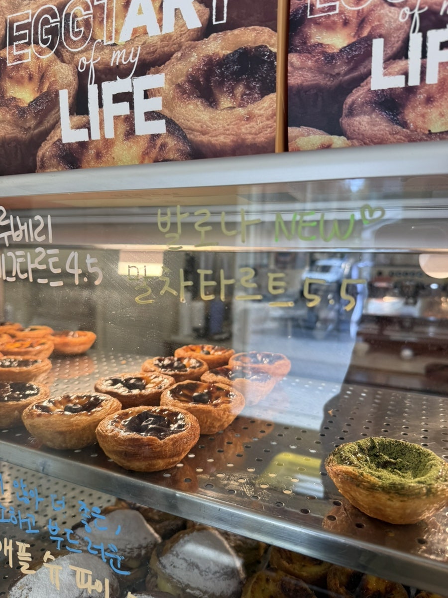 한알 사진 5
