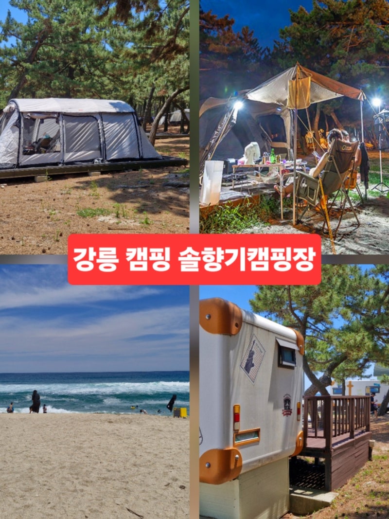 강원도 강릉 여름 캠핑 연곡 솔향기캠핑장 이용 정보