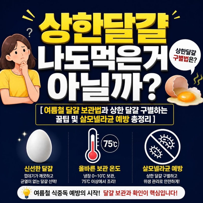 상한 달걀 나도 먹은 거 아닐까? [여름철 달걀 보관법과 상한 달걀 구별하는 꿀팁 및 살모넬....