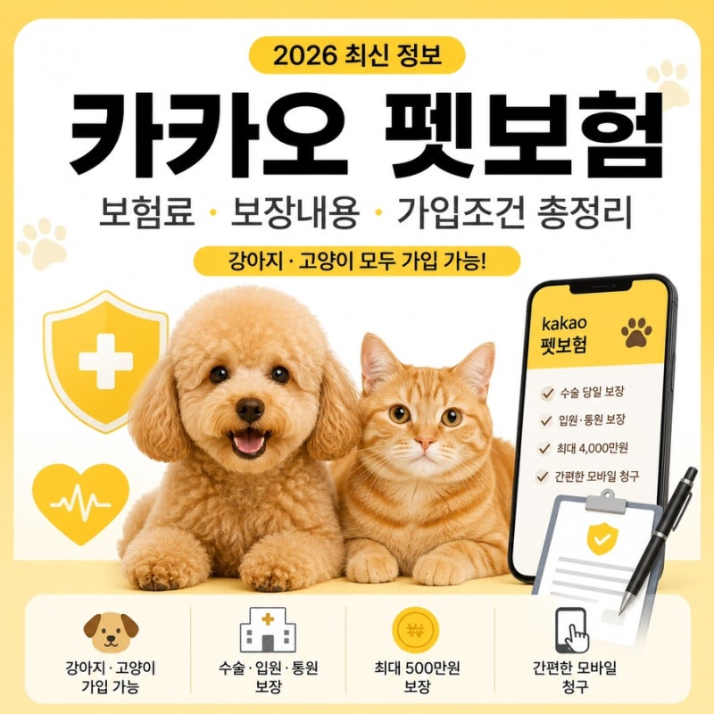 카카오 펫보험 보험료부터 보장내용까지 총정리 가입 전 꼭 알아야 할 정보