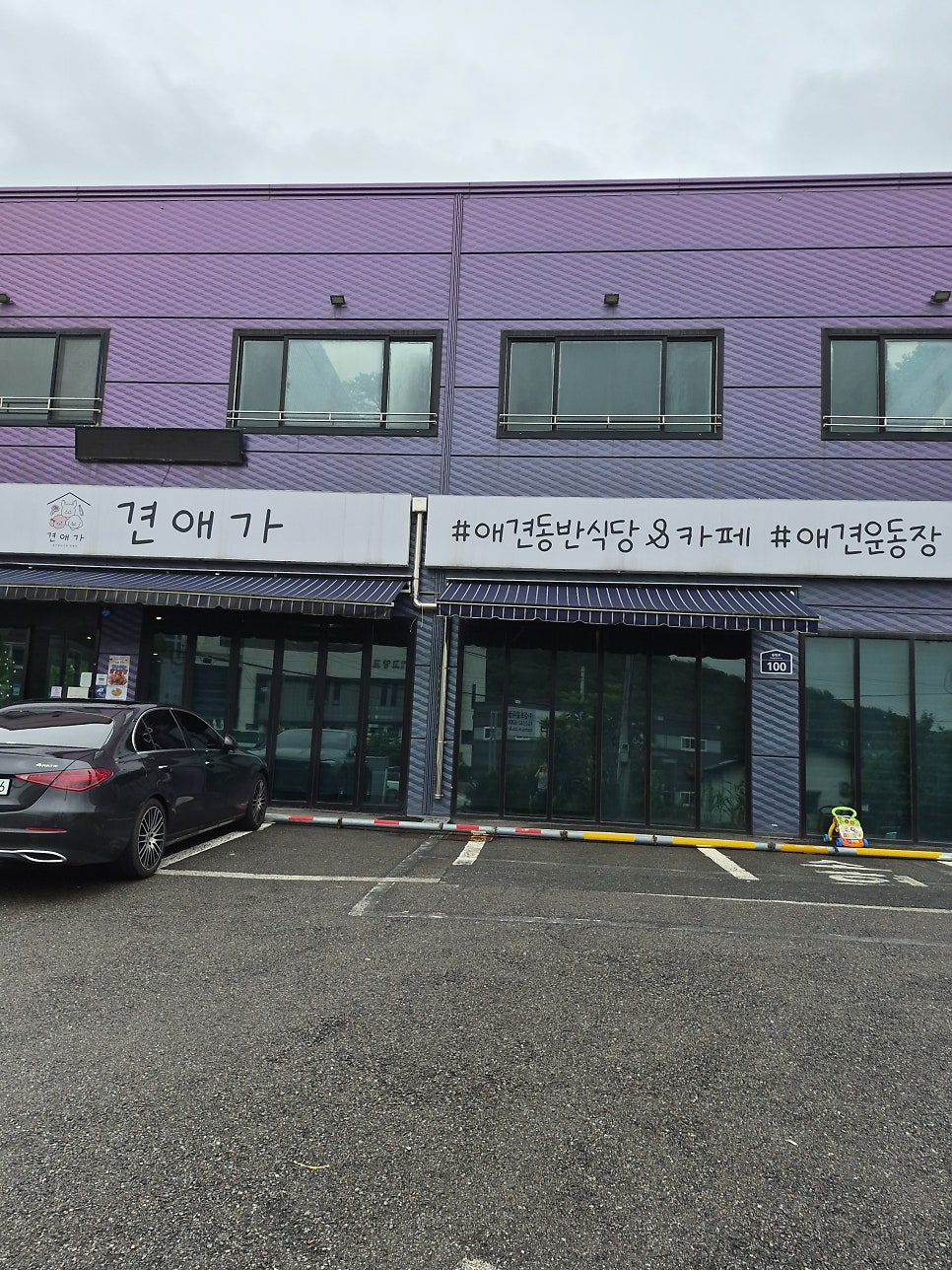 견애가 사진 2