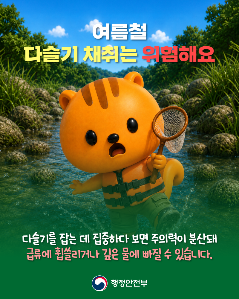 여름철 다슬기 채취, 잠깐! 이것만은 꼭 확인하세요