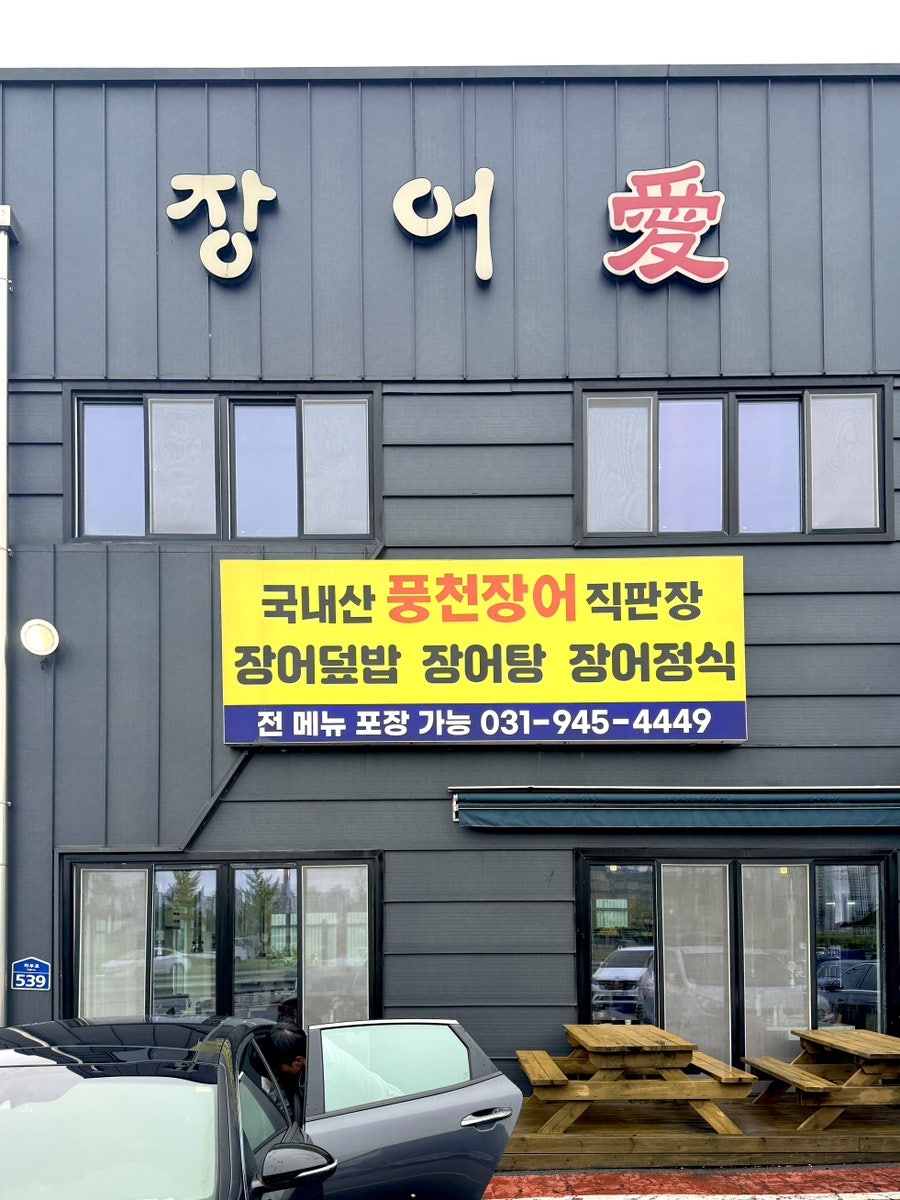 장어애 사진 2