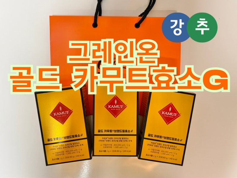 [그레인온 골드 카무트효소G] 내돈내산 가성비 소화 효소 추천