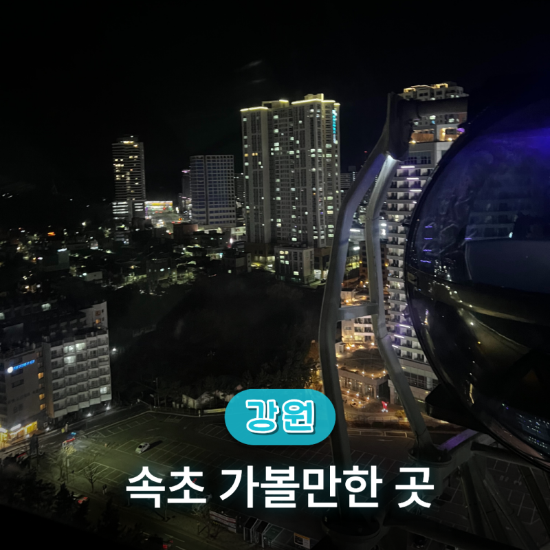 속초 가볼만한곳 속초해수욕장과 속초아이 대관람차 완벽 정리