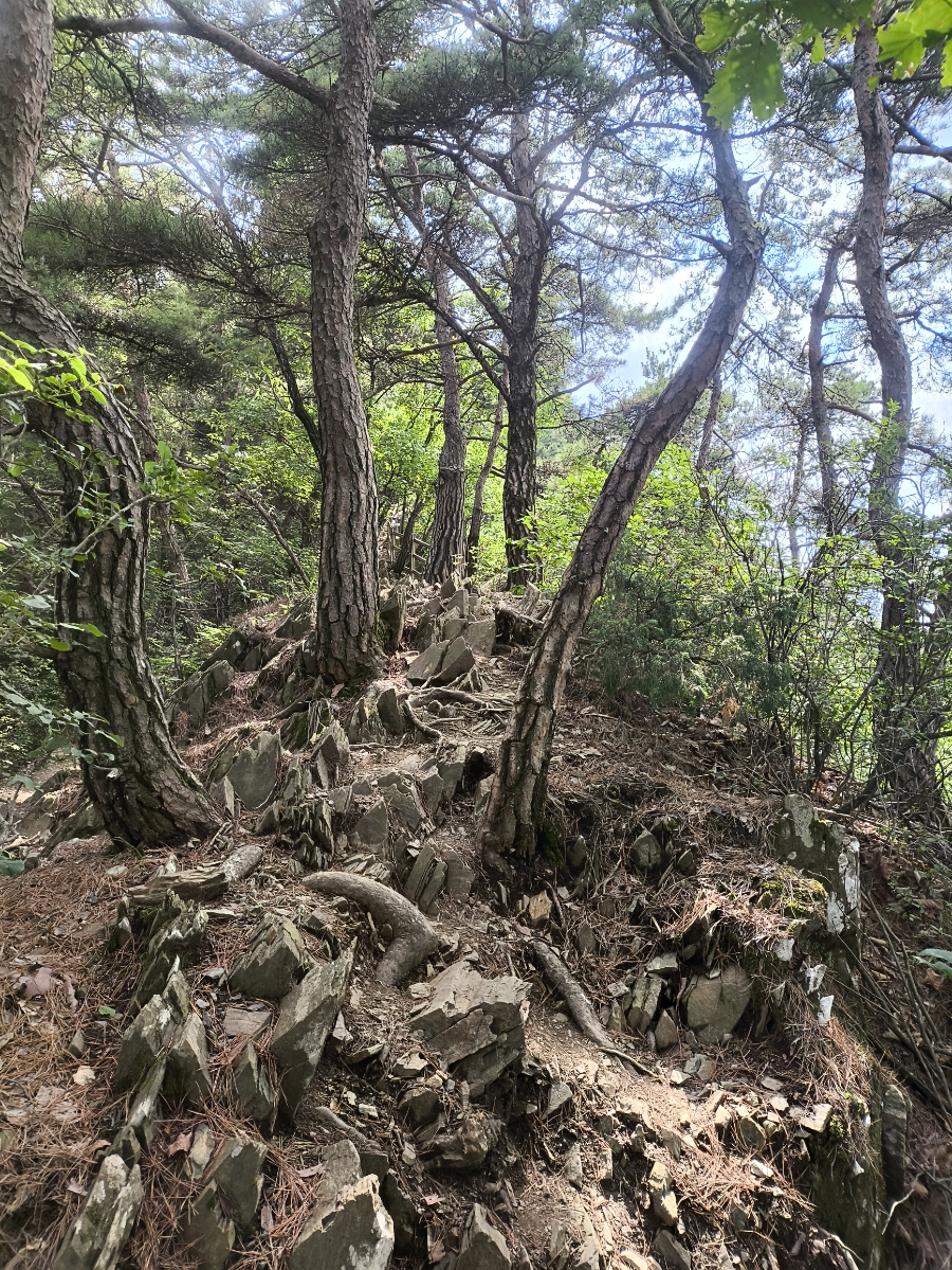 대미산 사진 5