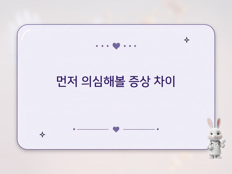 오해하기 쉬운 두피 질환들: 지루성 피부염 vs 건선 vs 비듬 구분 기준