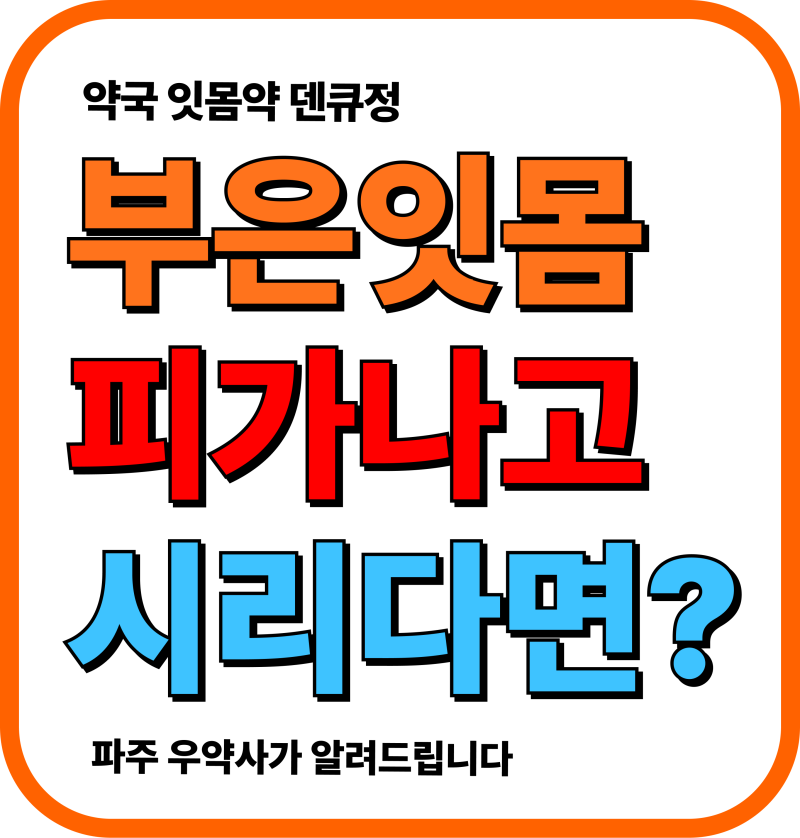 덴큐정 성분 효능 풍치 붓는 잇몸염 출혈 인사돌 복용법 차이 파주