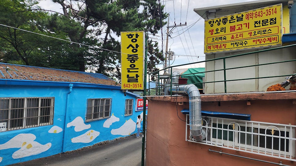 항상좋은날 사진 5