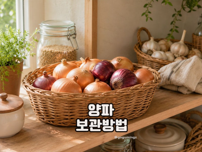 양파 보관방법 깐 양파 실온 냉장 냉동? 오래 보관법