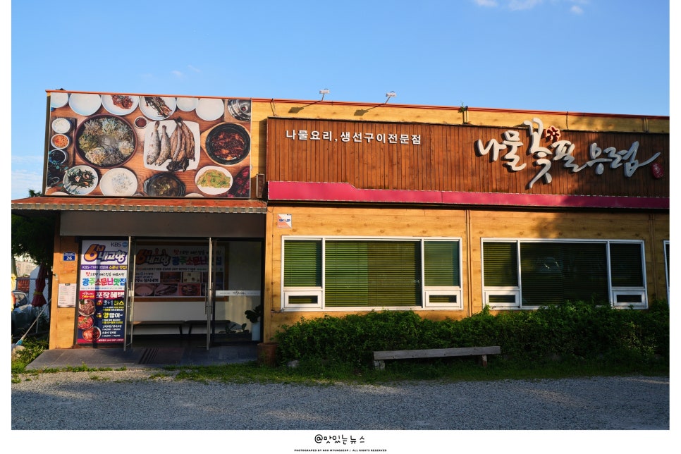 나물 꽃 필무렵 사진 6