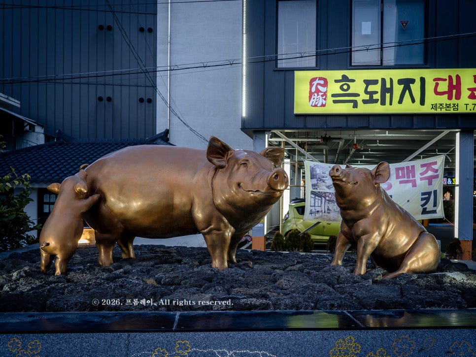 화로향 사진 4