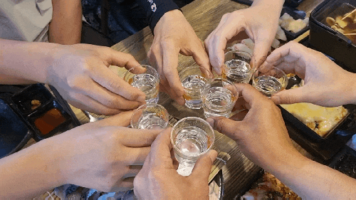 제주 함덕 횟집 추천 도톰함덕점 고등어회·딱새우회 직접 먹어본 솔직후기