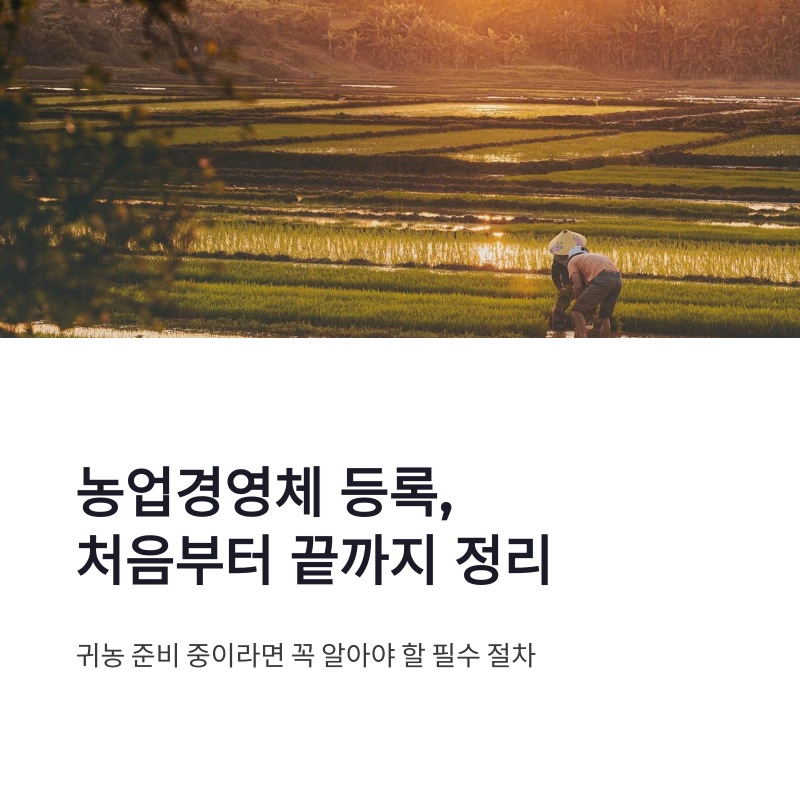 농업경영체 등록 방법부터 주소지 혜택까지 한 번에 정리