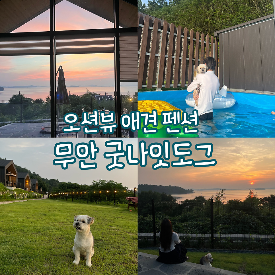 굿나잇도그 사진 1