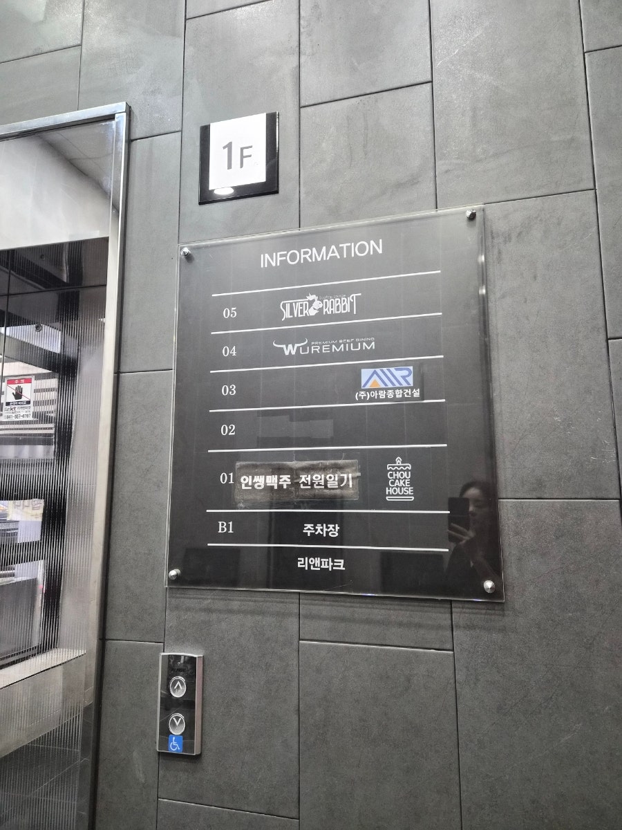 실버래빗 사진 5