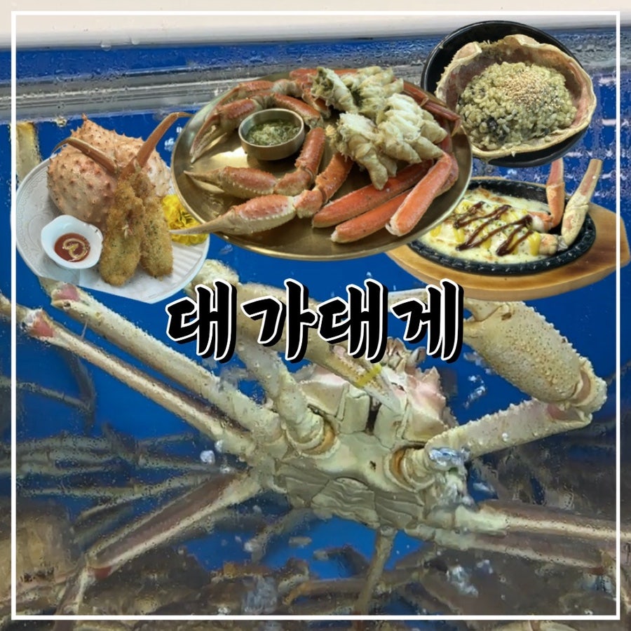 대가대게 사진 1