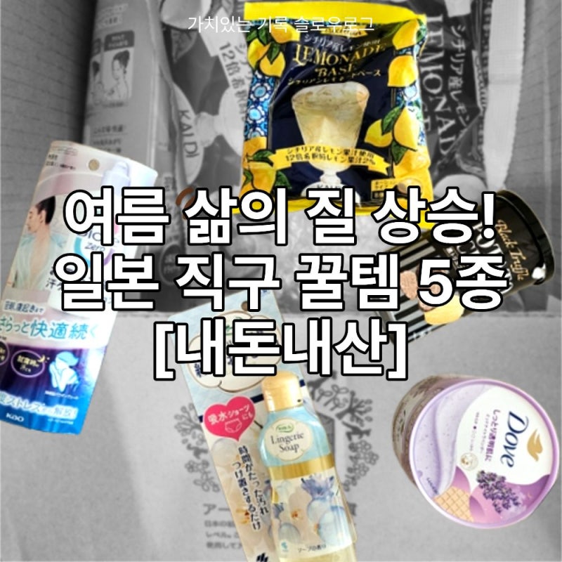 일본 직구 추천 꿀템 5종 도브 바디스크럽부터 비오레 제로 내돈내산