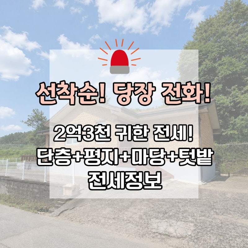 양평 전세 전원주택 추천｜2억 초반 황토 단층주택, 넓은 마당까지 갖춘 귀한 매물