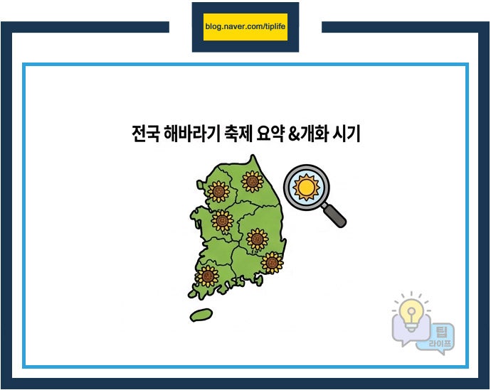 해바라기 사진 2