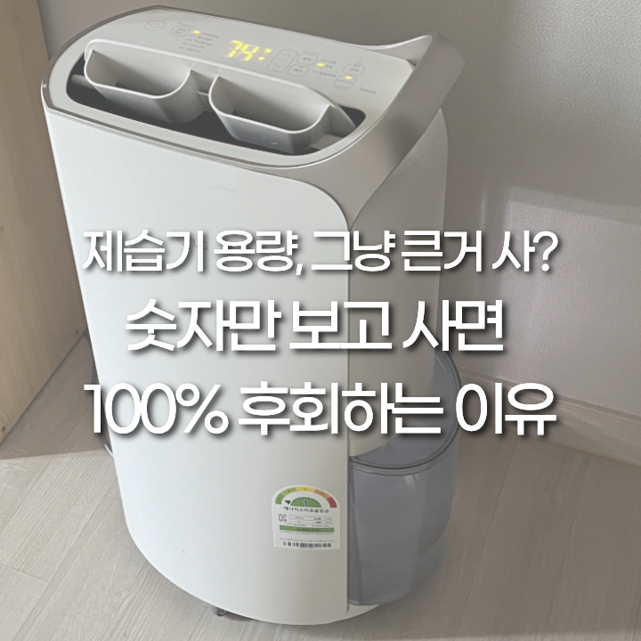 LG 오브제 제습기 20리터 1년 후기, 13L 21L 23L 용량 비교 실제 소음까지