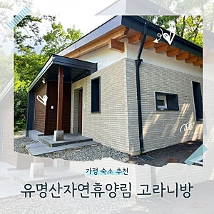 유명산자연휴양림 휴양관 신축 고라니방 1박2일 가평숙소 추천 아이와 다녀왔어요 ~