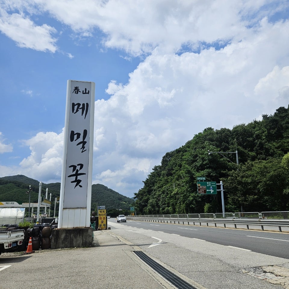춘산메밀꽃 사진 1