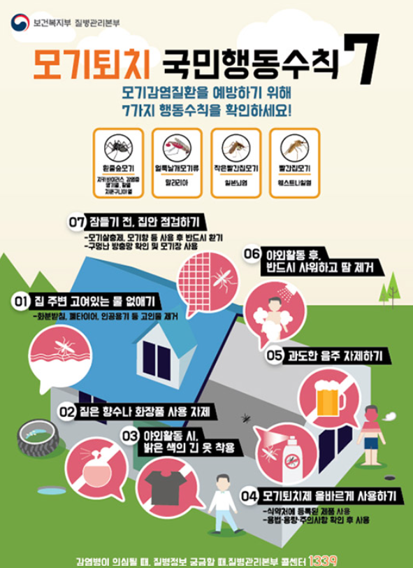 "이거 진짜 효과 있어?" 천원으로 끝내는 다이소 벌레 퇴치템 2가지
