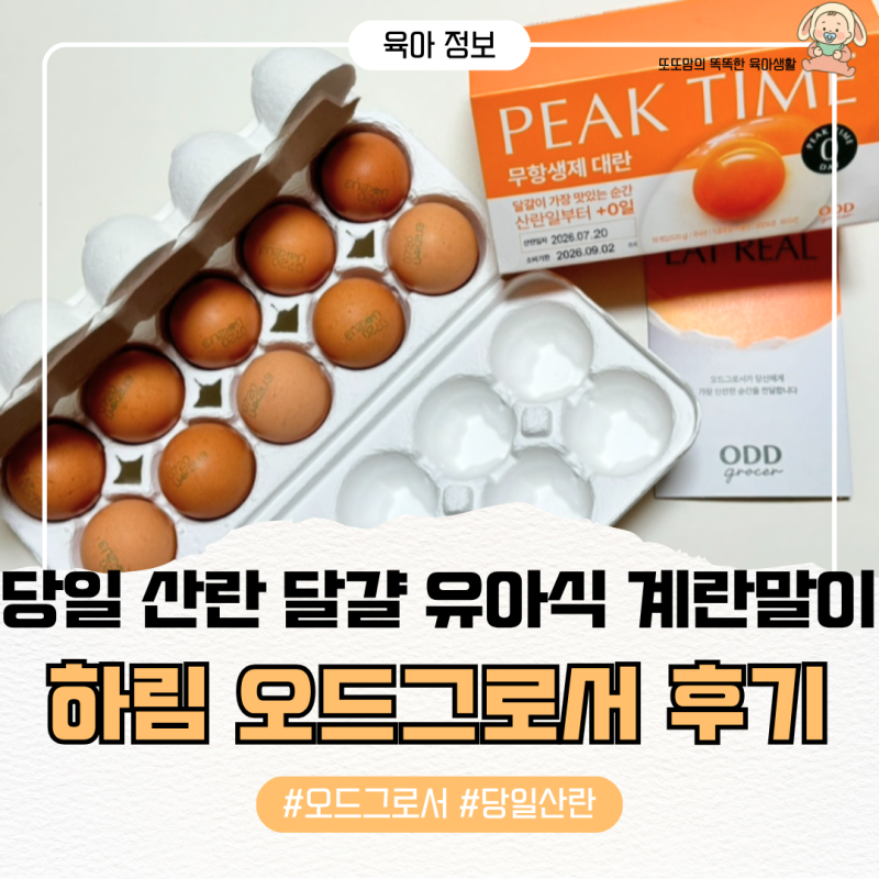 하림 오드그로서 당일 산란 달걀 후기, 11개월 아기 유아식 계란말이