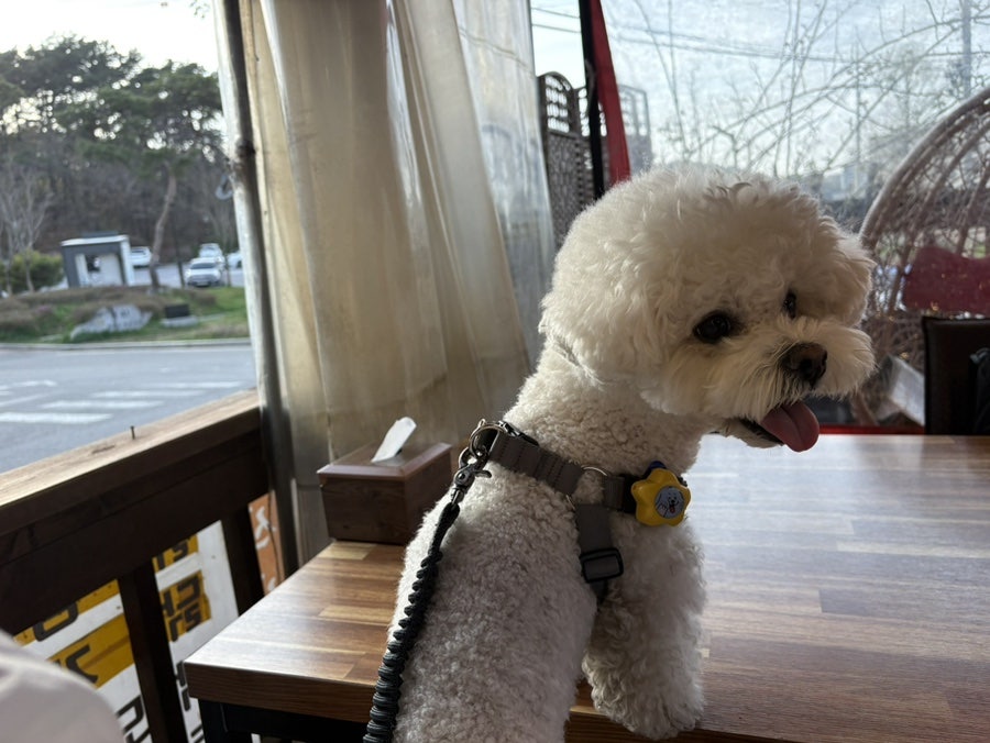 부락산주막 사진 6