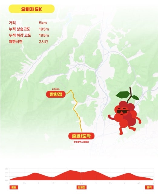 토마토 사진 4