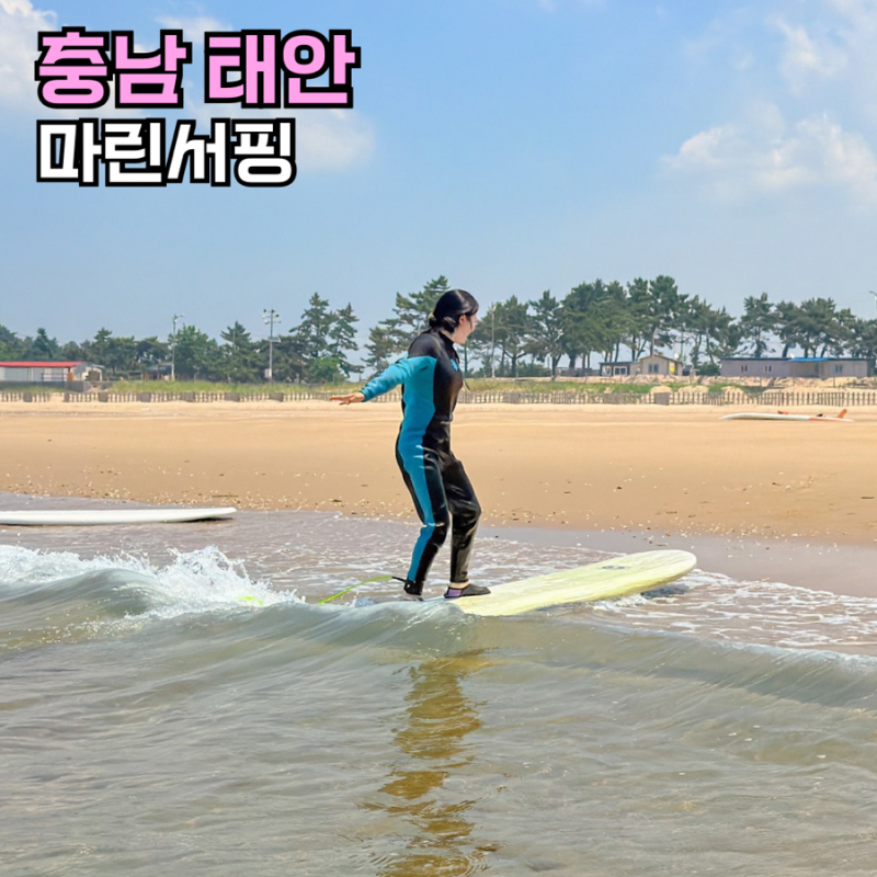 태안 만리포해수욕장 만리포 서핑 마린서핑 패들보트 강습후기