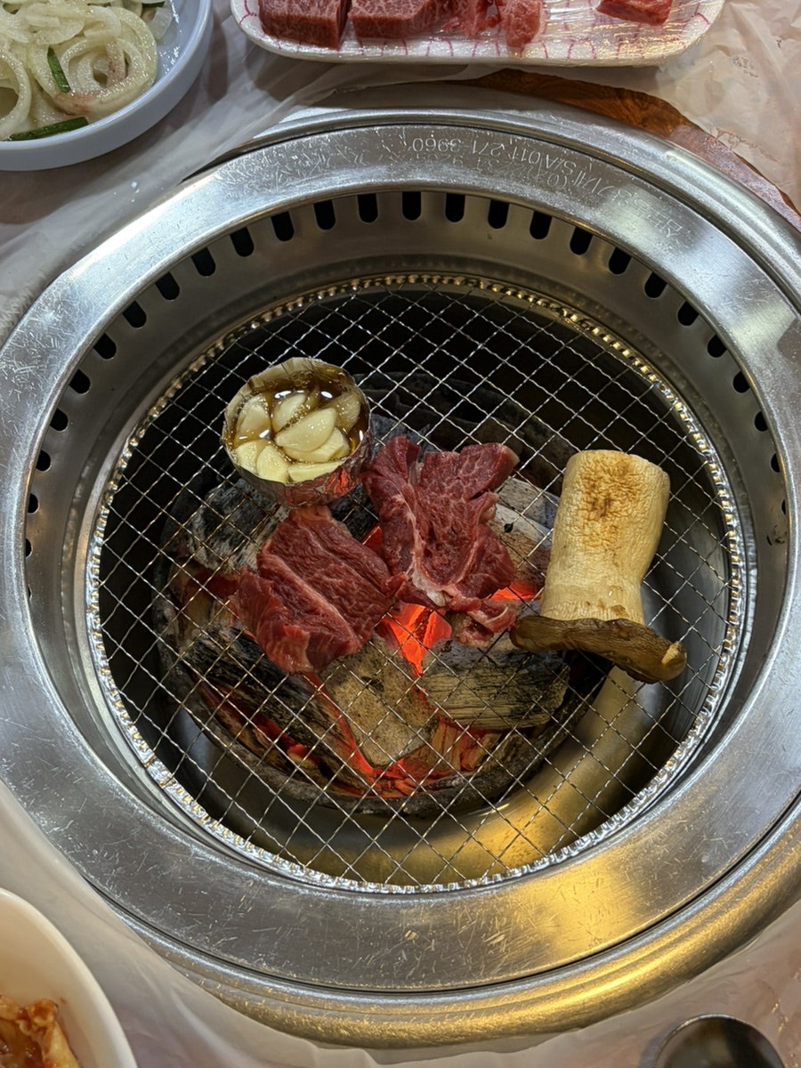 기둥참하누 사진 1