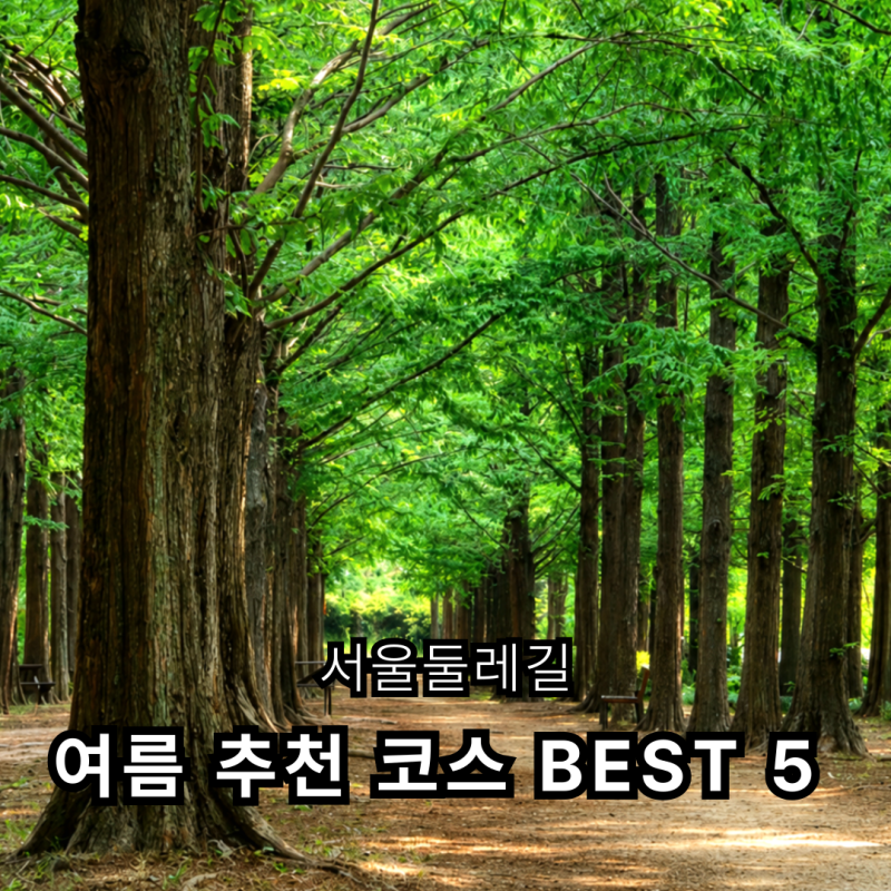 서울둘레길 여름 추천 코스 BEST 5 | 시원한 숲길·야간 트레킹 서울 가볼만한곳