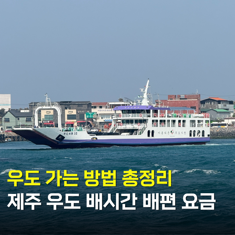 제주도 우도 배시간 배편 요금 성산항 천진항 하우목동항 선착장 총정리
