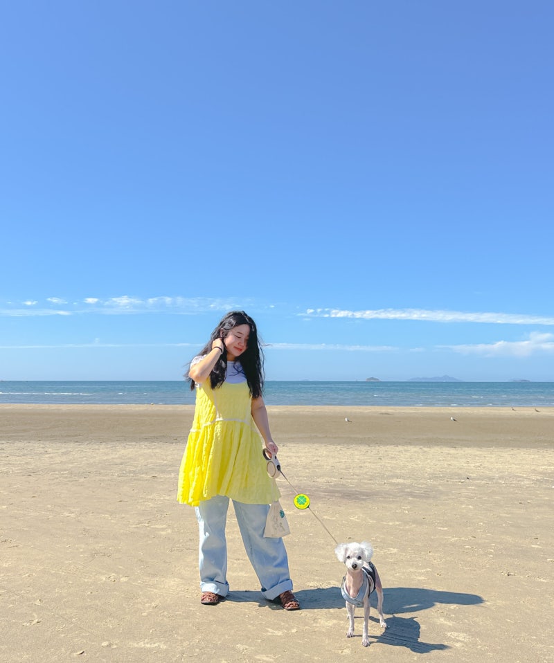 태안 신두리해수욕장 서해 해루질 물때표 보는 법
