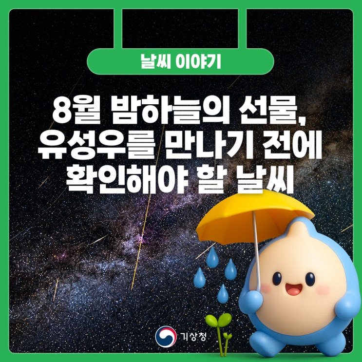 8월 밤하늘의 선물, <b>유성우</b>를 만나기 전에 확인해야 할 날씨