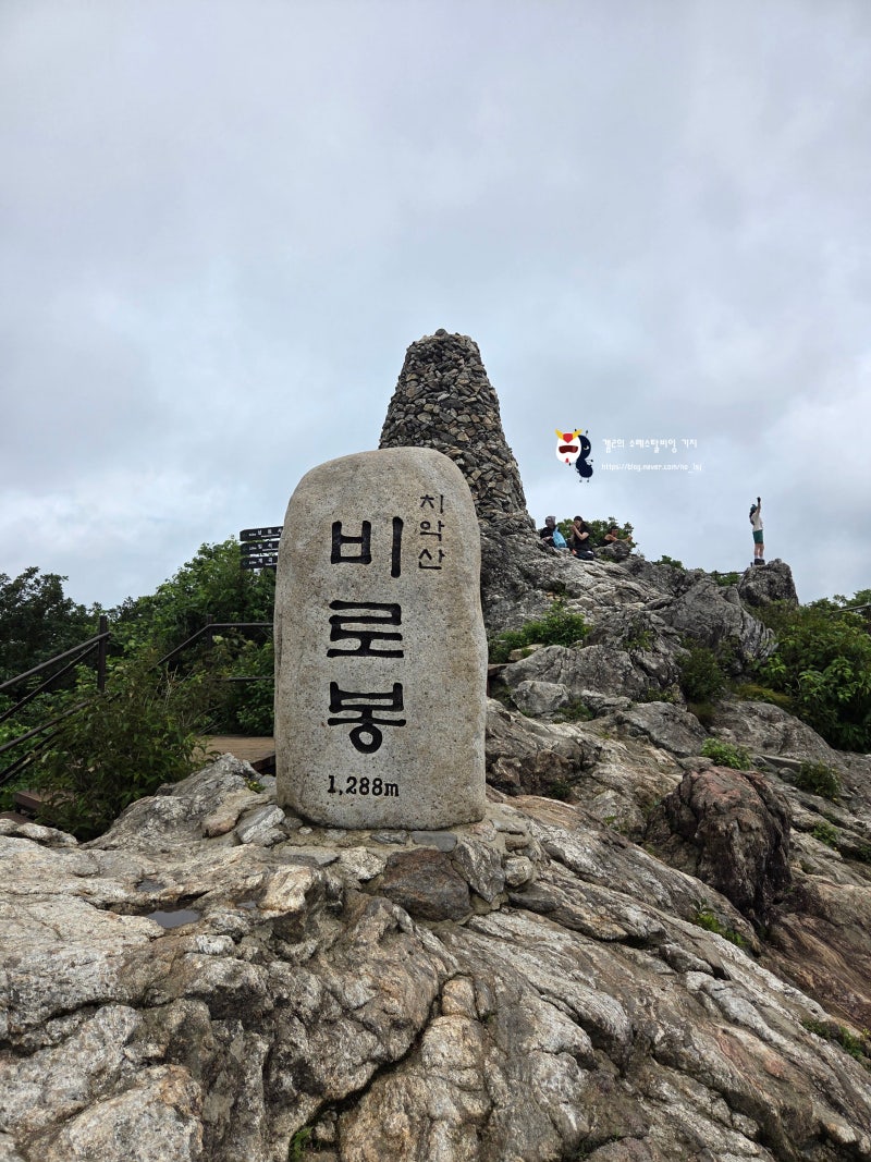 260711 치악산 등산 / BAC강원20 구룡사코스